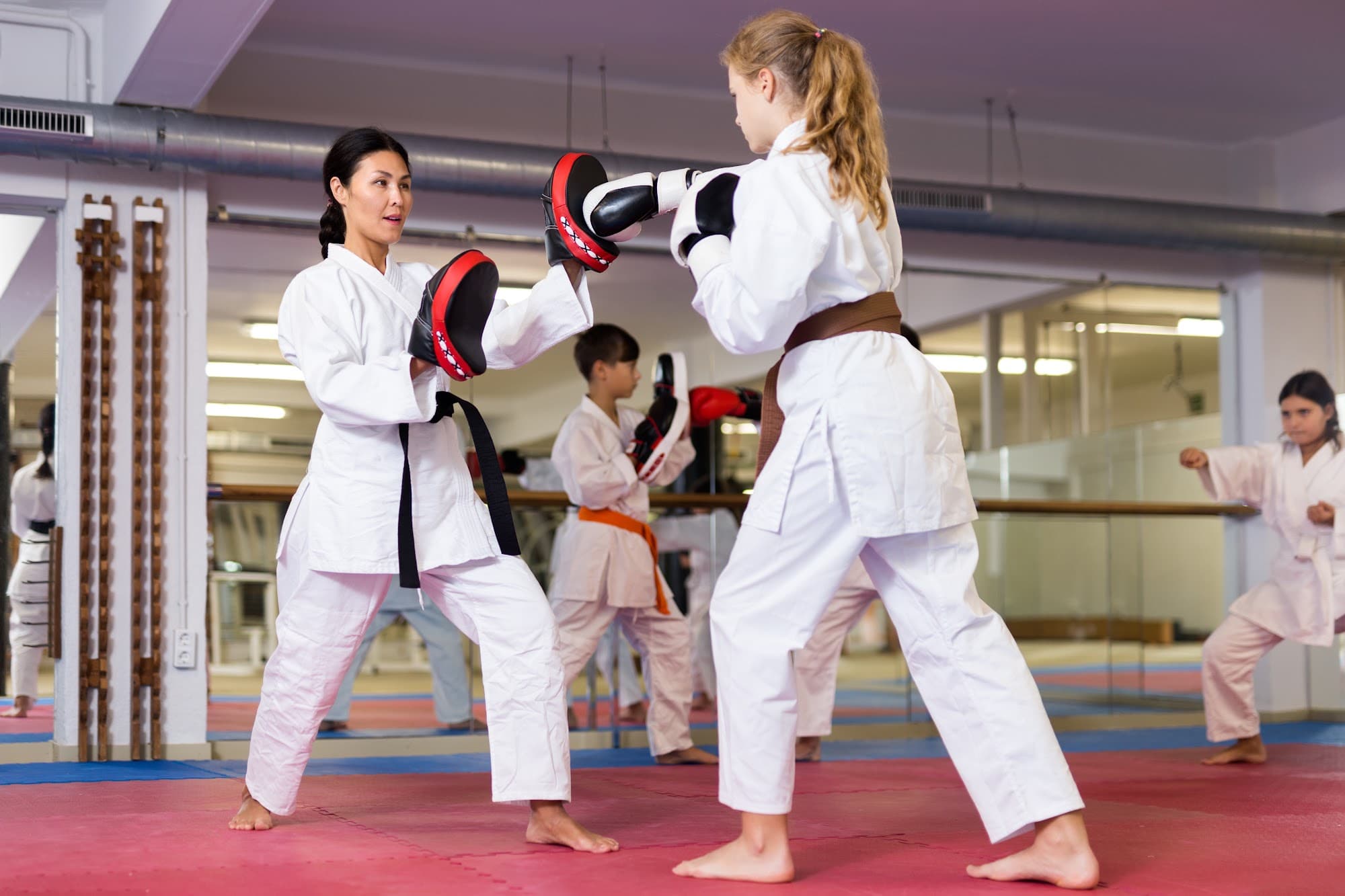 Martial arts school management software dashboard showing scheduling, billing, CRM, and reporting tools.