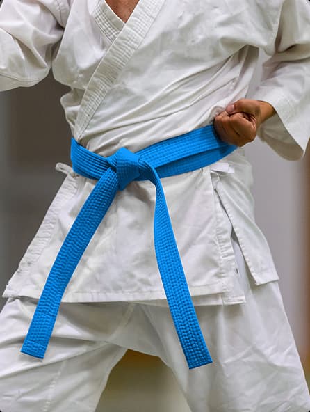 Keep students engaged with belt and skill tracking