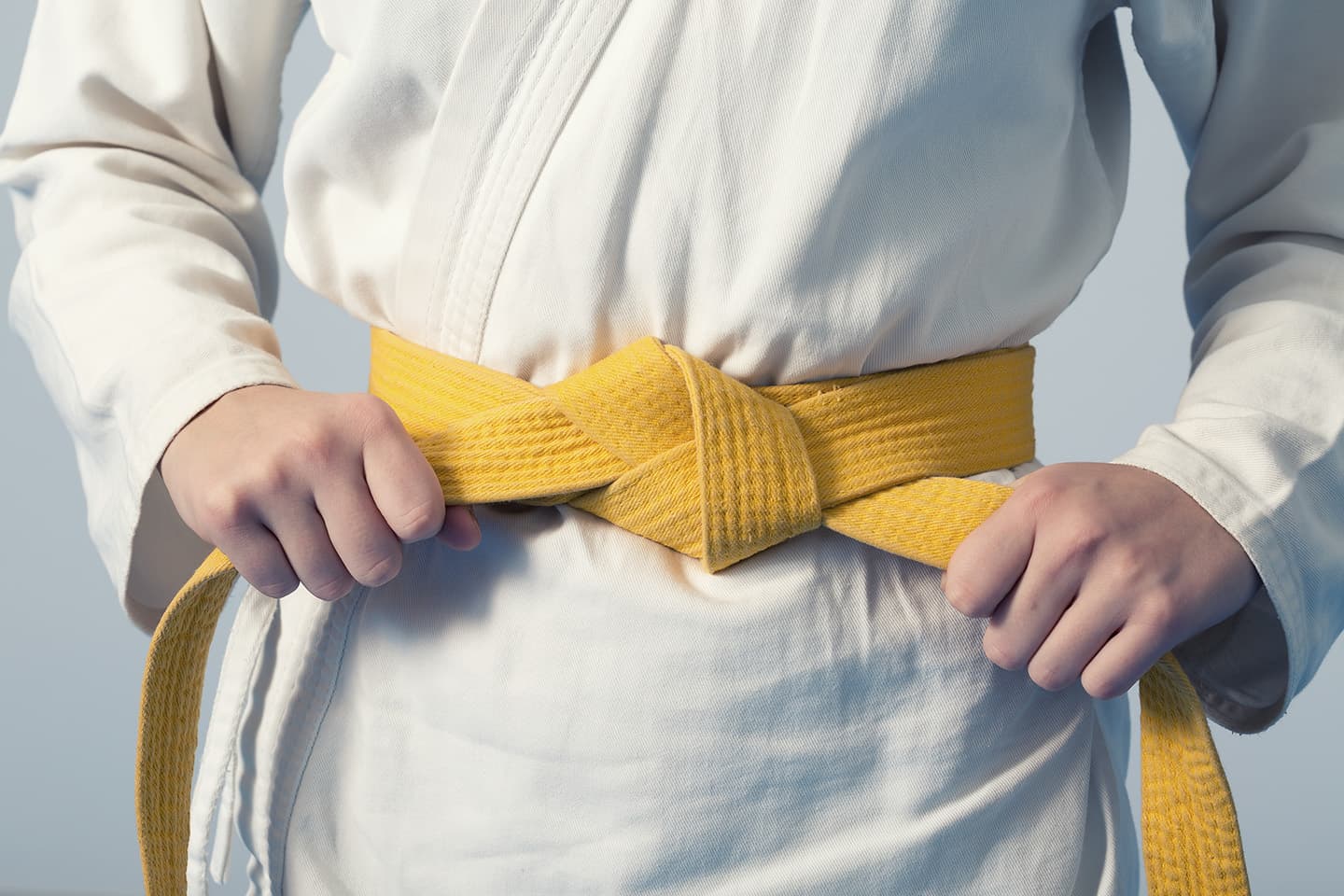 Track every belt from white to black — for kids and adults