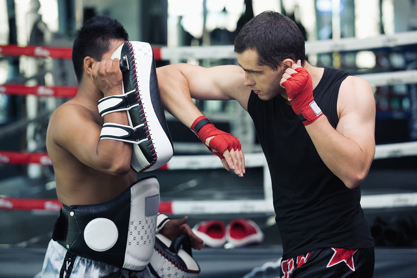 Manage striking, clinch, and fight team programs
