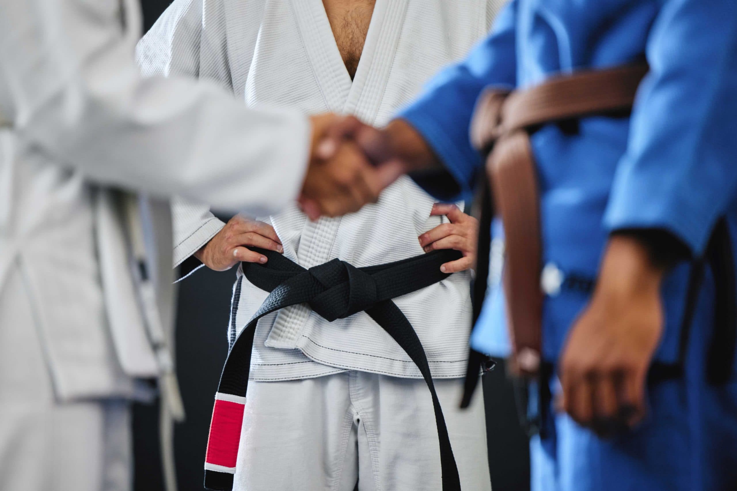 Martial arts students wearing gis and black and brown belts shaking hands during a training session.